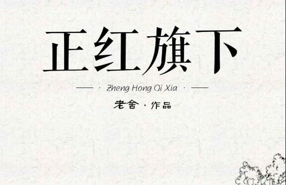 《正红旗下》读后感1000字.jpg