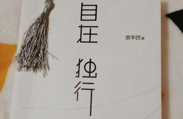 《自在独行》读后感1000字.jpg